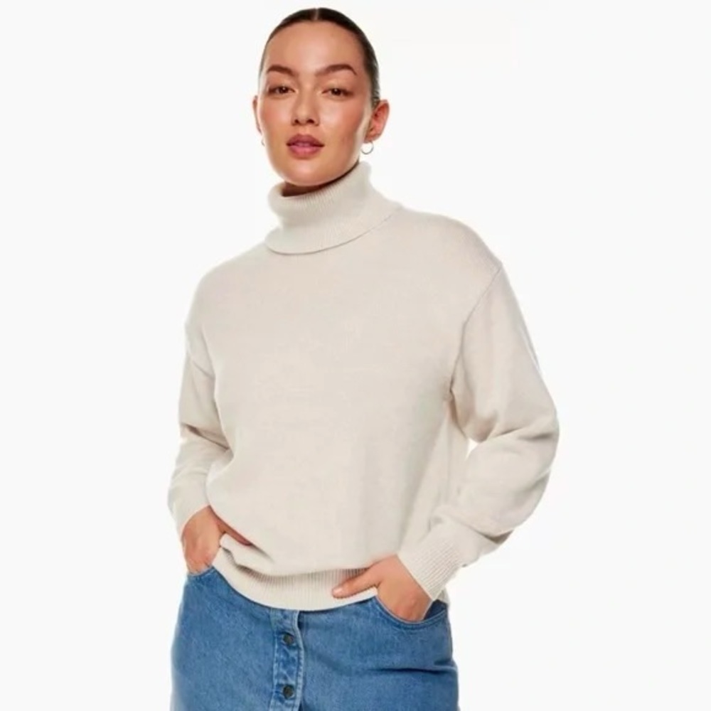 Aritzia - Wilfred Free - 100% Merino Wool Turtleneck Sweater